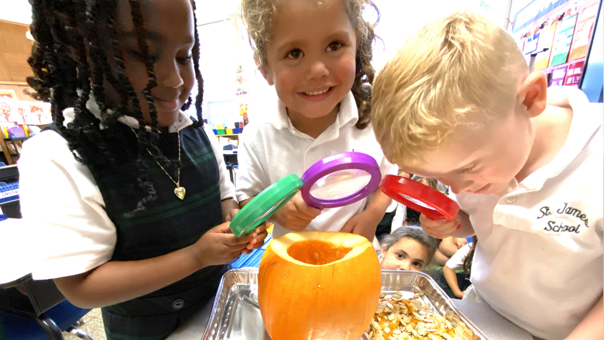 Pumpkin investigation